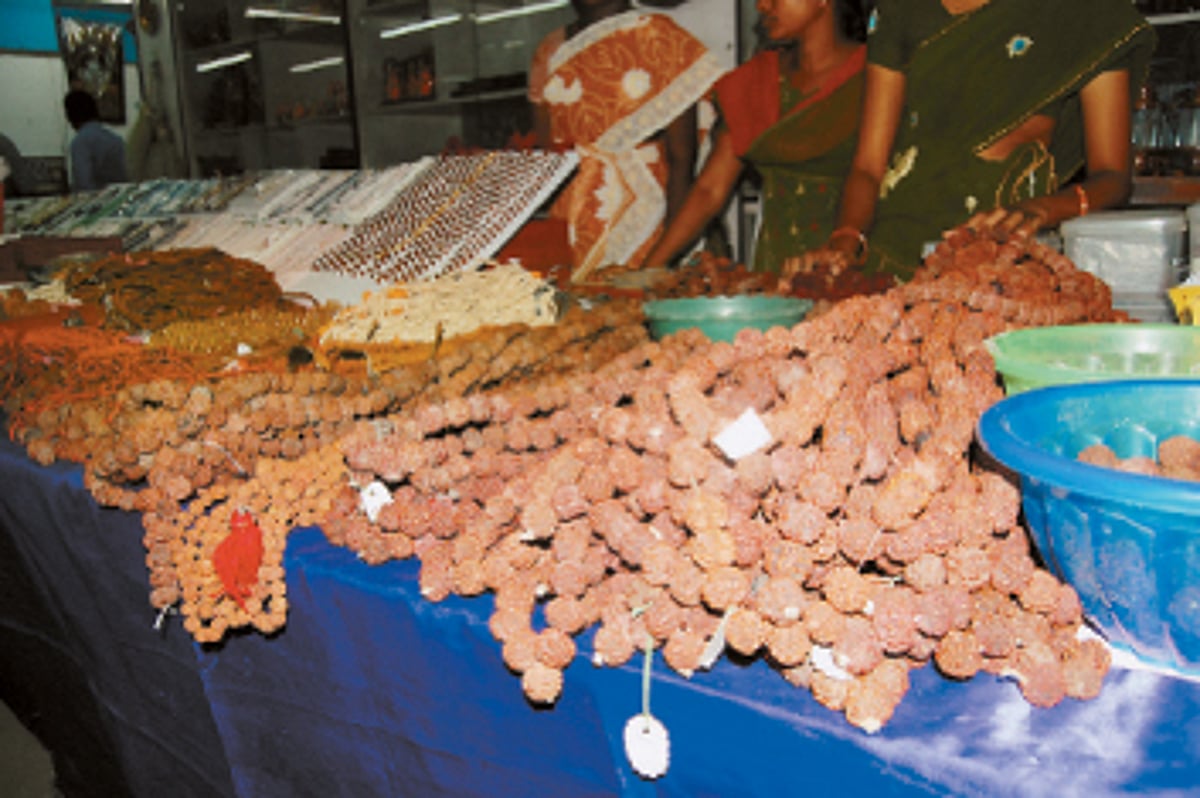 கண்காட்சி: ரத்த அழுத்தத்தைக் கட்டுப்படுத்தும் உத்திராட்சம்!