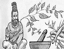 சித்த, ஆயுர்வேத மருத்துவப் படிப்புகளுக்கு மோகம் அதிகரிப்பு