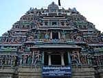4. பொய் பேசும் கொன்றை