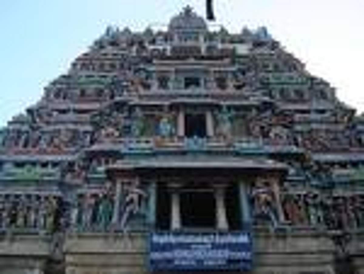 4. பொய் பேசும் கொன்றை