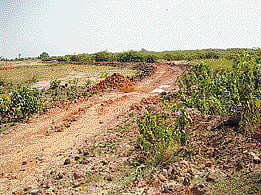 ஆக்கிரமிப்பாளர்கள் பிடியில் மெதூர் ஏரி