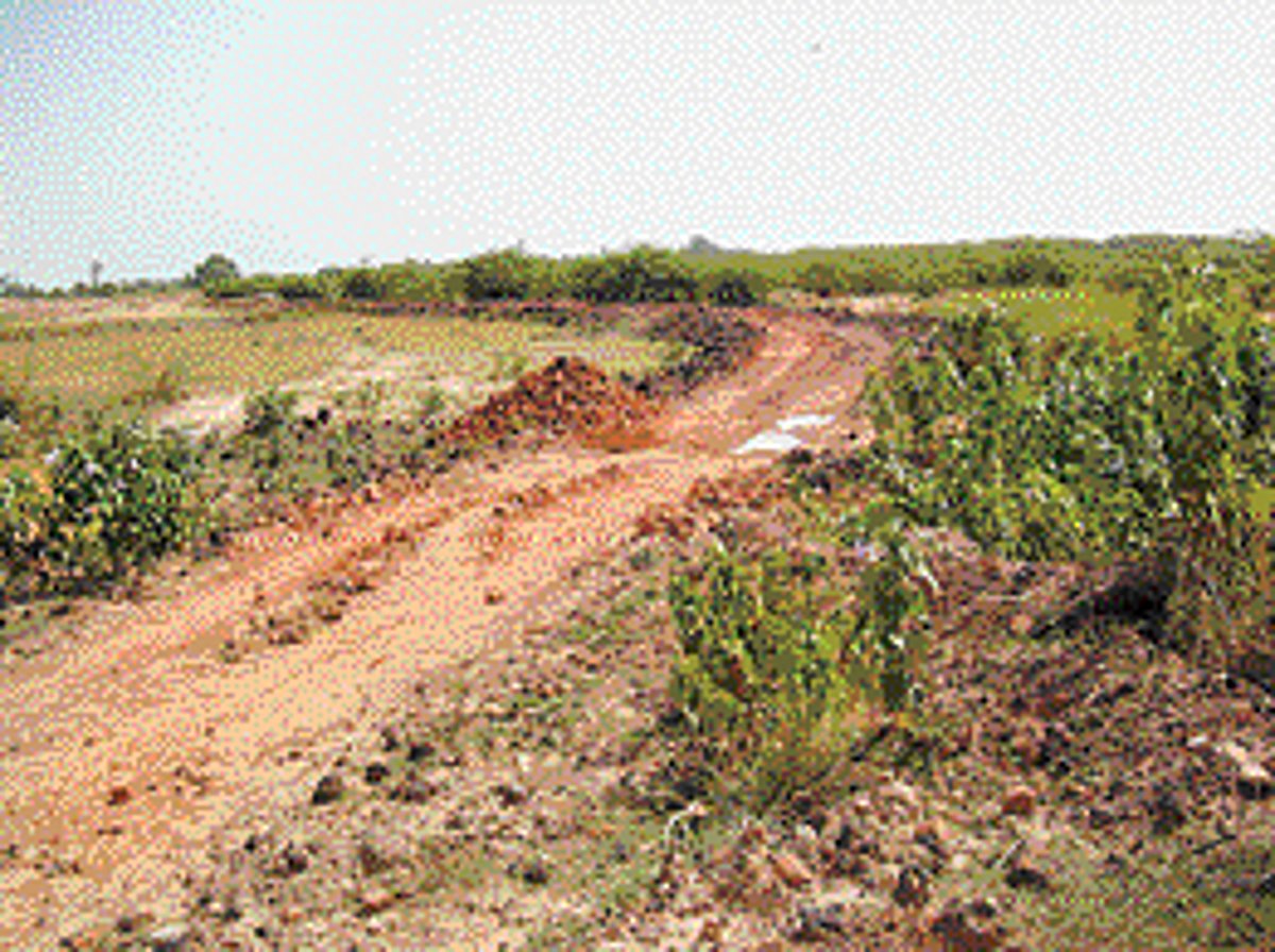 ஆக்கிரமிப்பாளர்கள் பிடியில் மெதூர் ஏரி