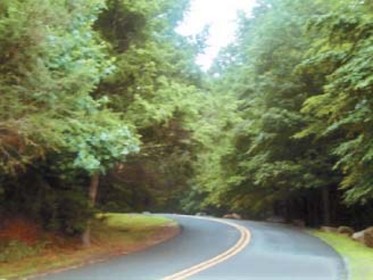 ஆப்பிள் தேசம் - 2: சோலைகளிடையே சாலைப் பயணம்!