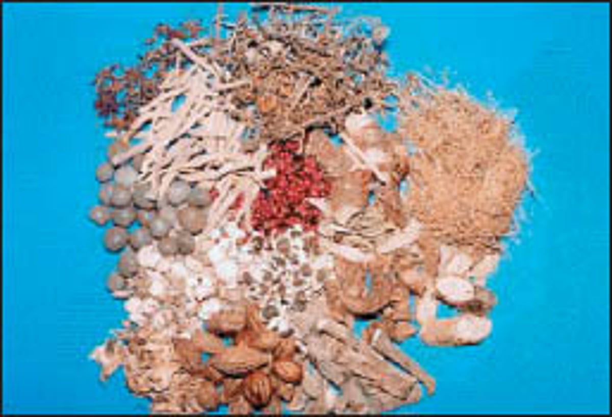 ஆயுள் காக்கும் ஆயுர்வேதம்: எல்லா நோய்களுக்கும் ஏற்ற சிகிச்சை!