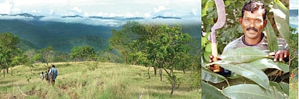 வழிகாட்டி!