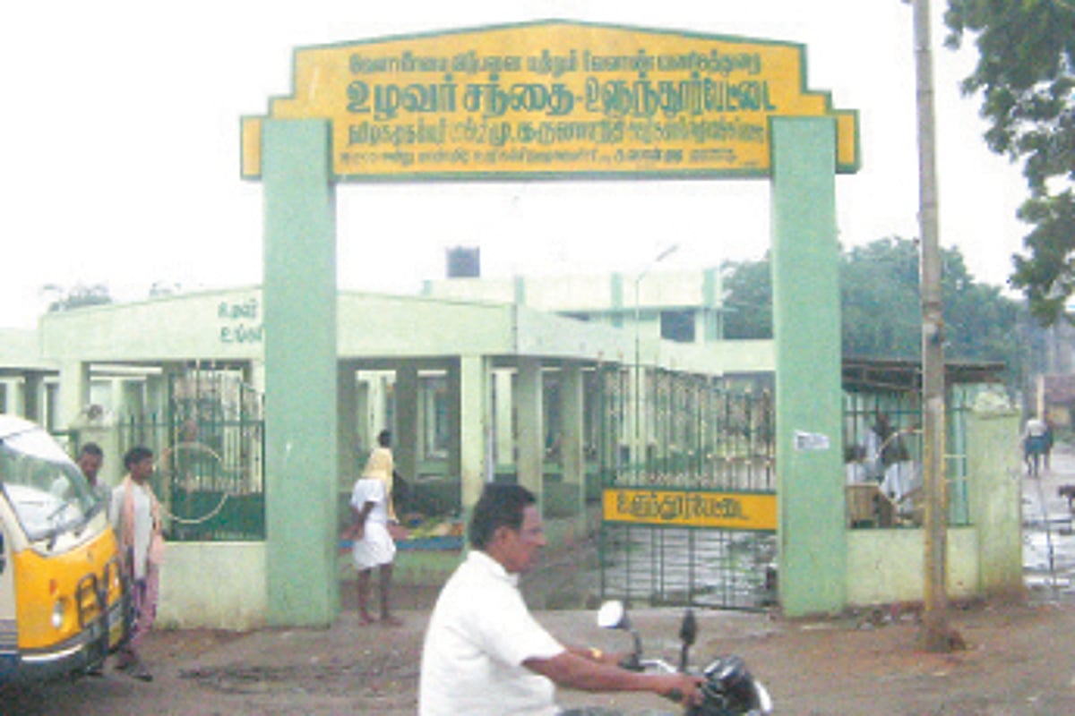 இயற்கை உரங்களைப் பயன்படுத்தும் முன்மாதிரி விவசாயி