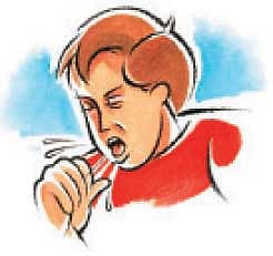 ஆயுள் காக்கும் ஆயுர்வேதம்: குளிர்காலத்தைச் சமாளிக்க...