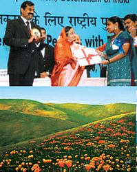 தூரிகைக்குக் கிடைத்த விருது!