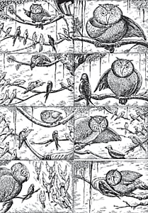 சரியும் தவறும்