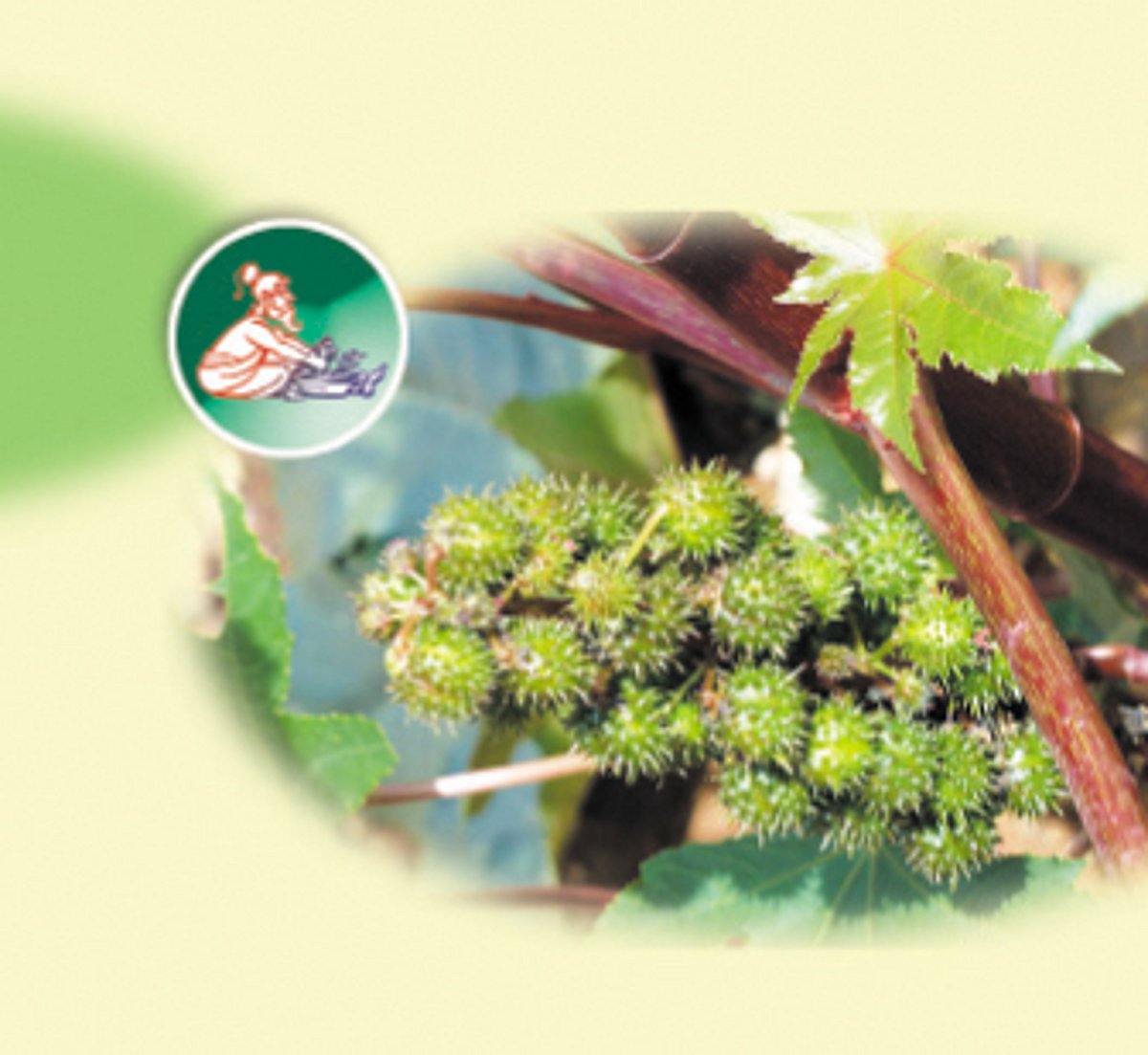 ஆயுள்காக்கும் ஆயுர்வேதம்: குளிர்ச்சியும் வாயுவும்!