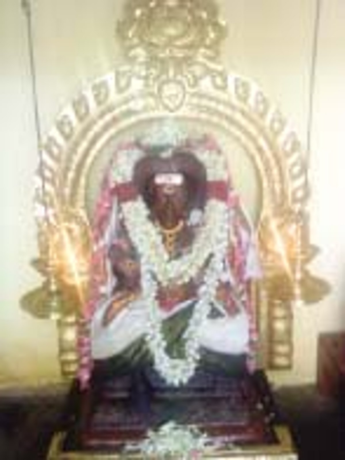 மனித முகத்துடன்!