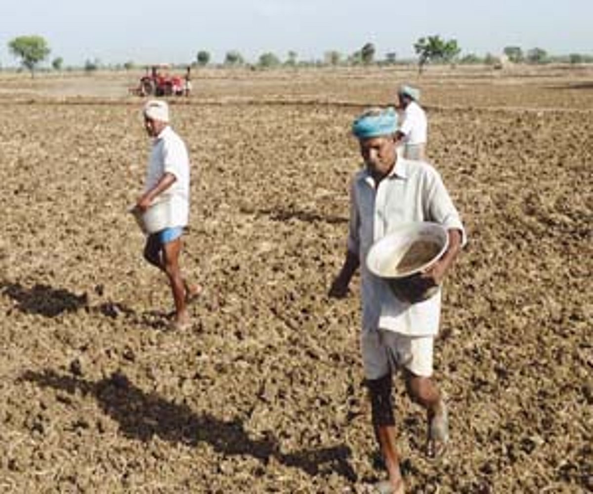 காவிரி நீர் இல்லாததால் நேரடி நெல் விதைப்பில் ஈடுபடும் விவசாயிகள்