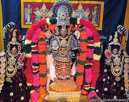 திருமலைராயன்பட்டினம் ஸ்ரீவேங்கடேசப் பெருமாளுக்கு முத்தங்கி அணிவிப்பு