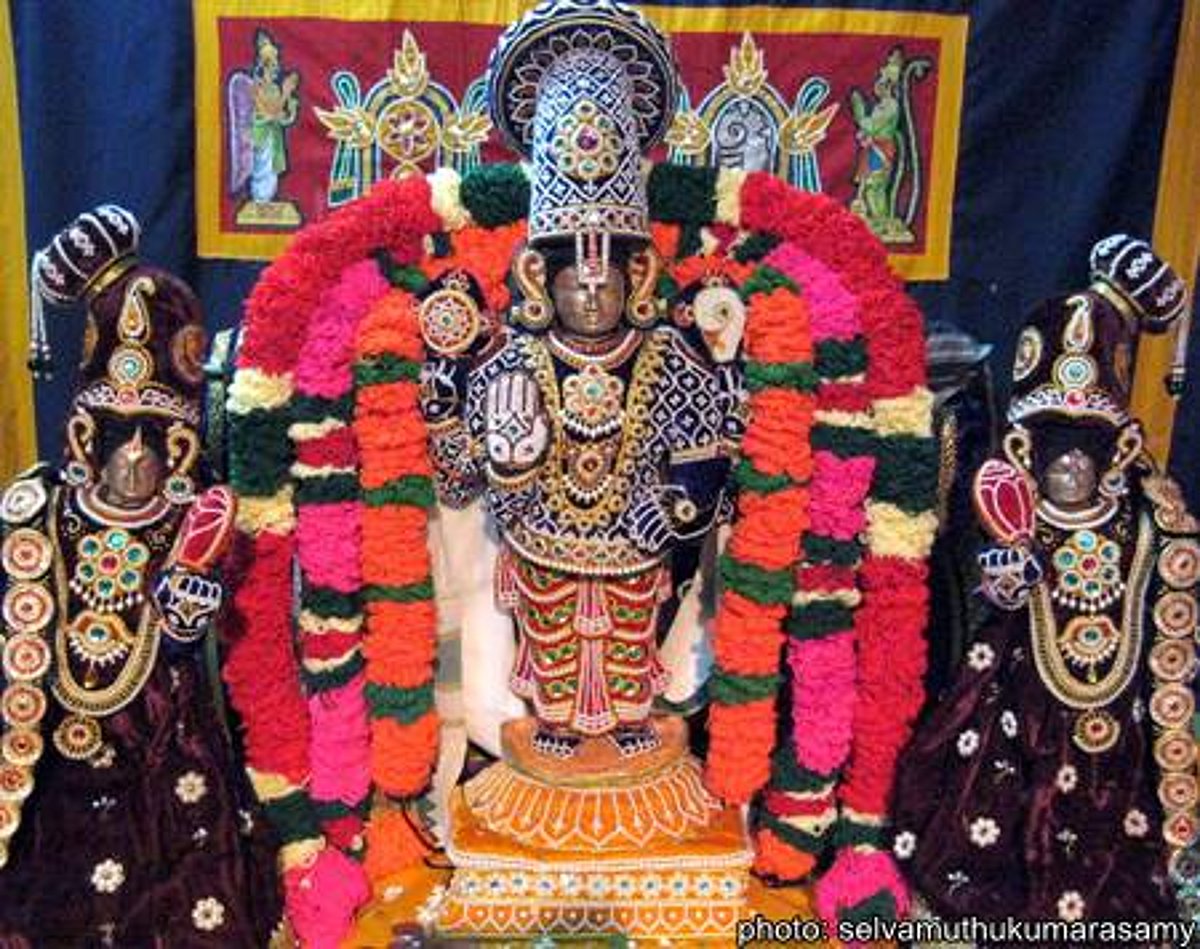 திருமலைராயன்பட்டினம் ஸ்ரீவேங்கடேசப் பெருமாளுக்கு முத்தங்கி அணிவிப்பு