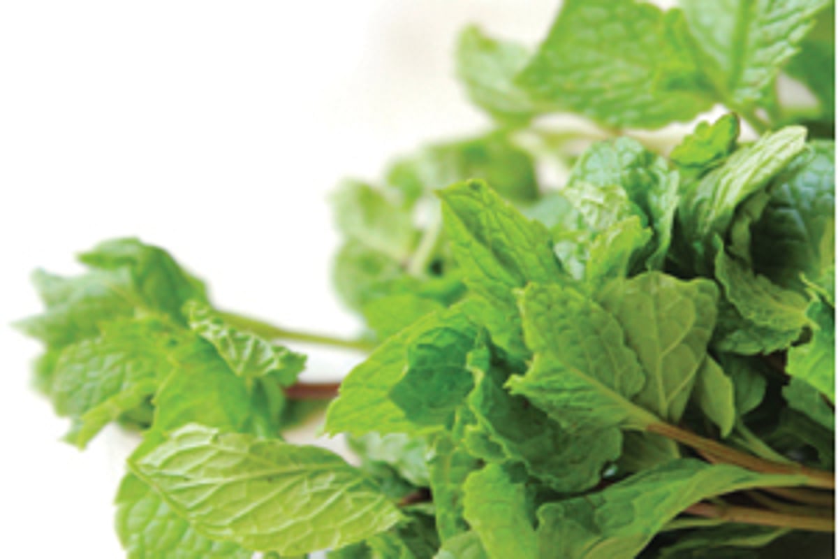 கடுமையான காய்ச்சலையும் குணப்படுத்த உதவும் கசாயம்