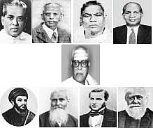 எருமைகள்!