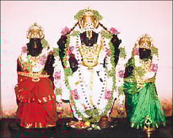 வரதன் அருளும் வடபாதிமங்கலம்!