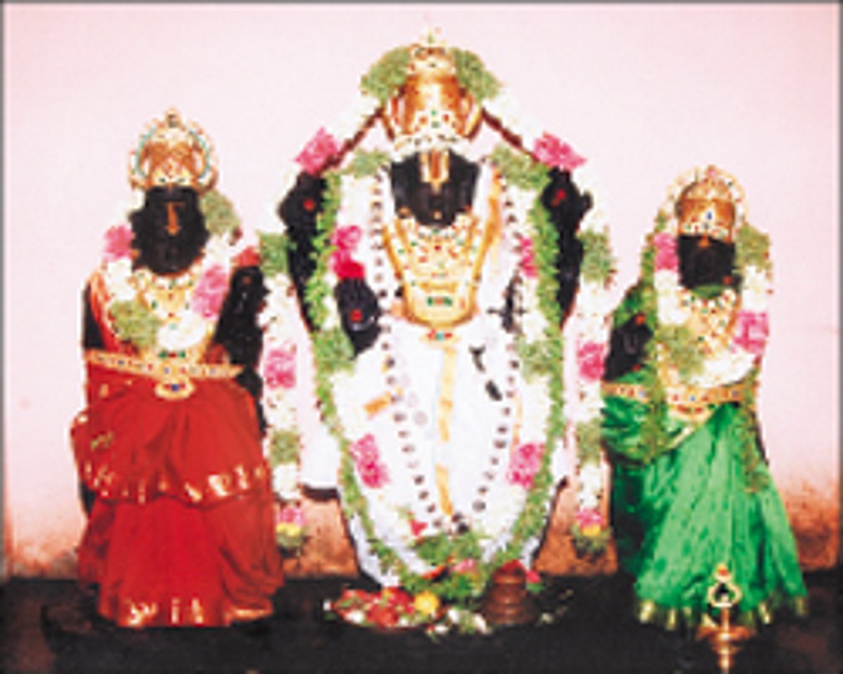 வரதன் அருளும் வடபாதிமங்கலம்!