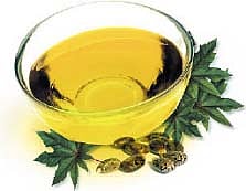 ஆயுள்காக்கும் ஆயுர்வேதம்: வயதான காலத்தில் வாயு தடை!