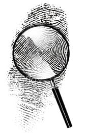 மூடுவிழாவை நோக்கி விரல் ரேகைப் பிரிவு