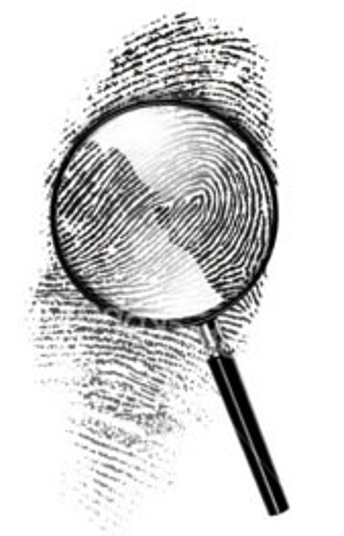 மூடுவிழாவை நோக்கி விரல் ரேகைப் பிரிவு