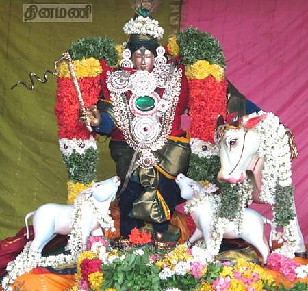 ஆநிரைத் தலைவனாக காரைக்கால் ஸ்ரீநித்யகல்யாணப் பெருமாள்