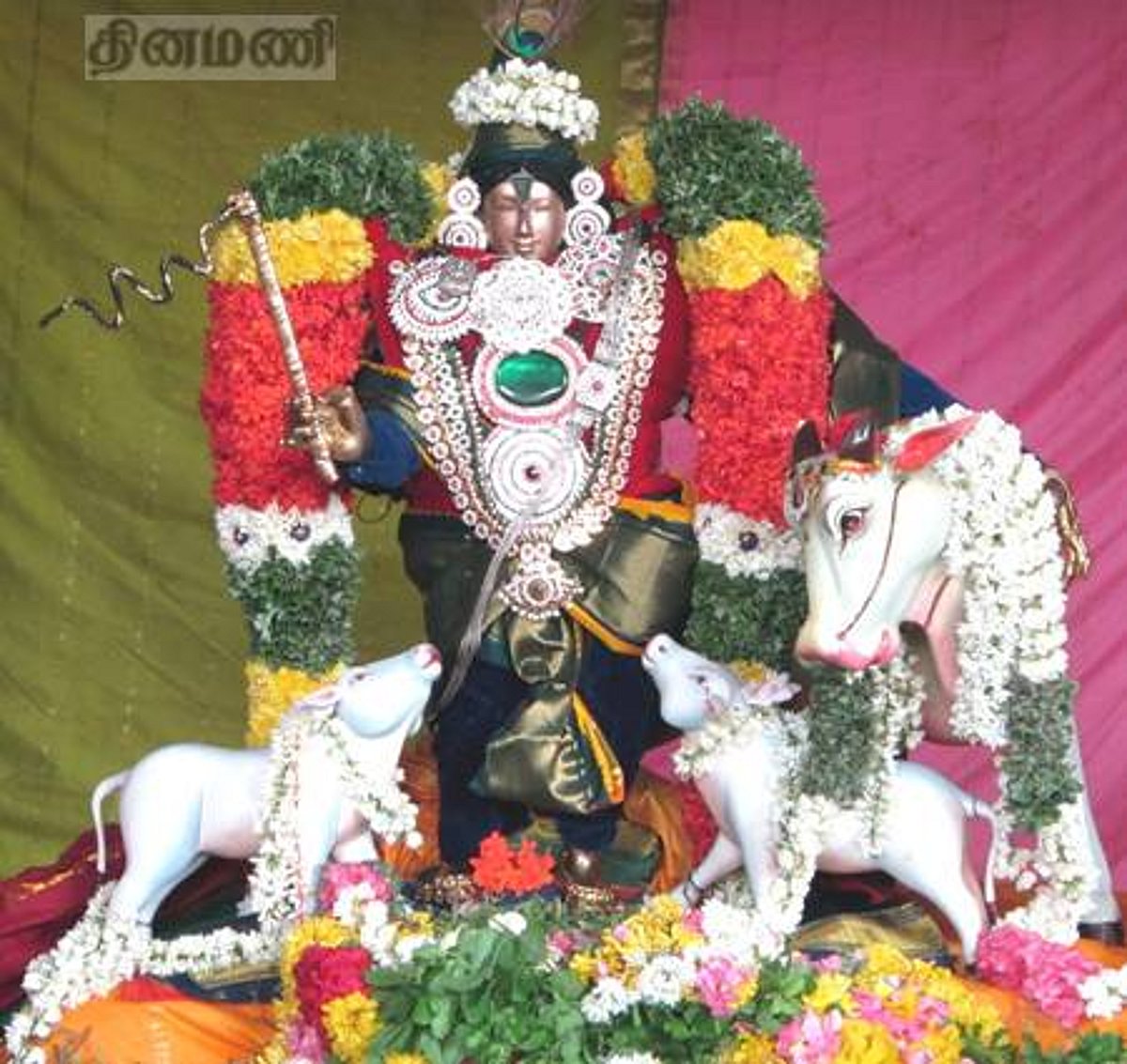 ஆநிரைத் தலைவனாக காரைக்கால் ஸ்ரீநித்யகல்யாணப் பெருமாள்