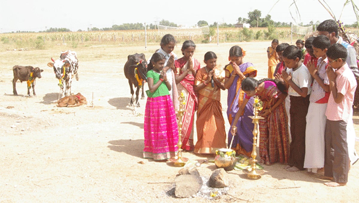 சத்யா வித்யாலயா சி.பி.எஸ்.இ. பள்ளியில் பொங்கல் விழா