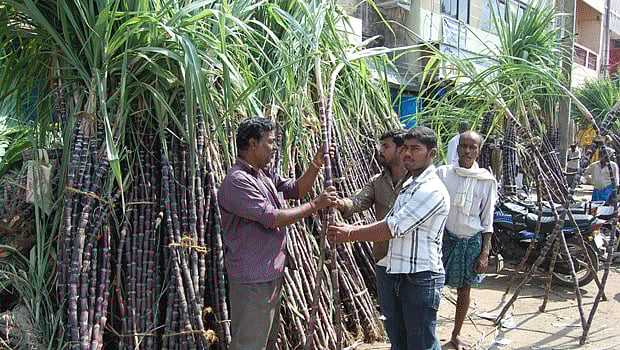 சிதம்பரத்தில் கரும்பு, மஞ்சள் கொத்து அதிக விலைக்கு விற்பனை