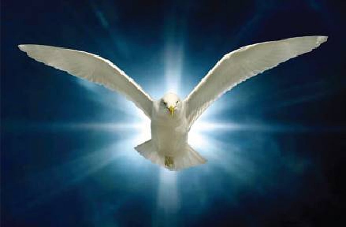 நம்பிக்கை கொள்ளுங்கள்...