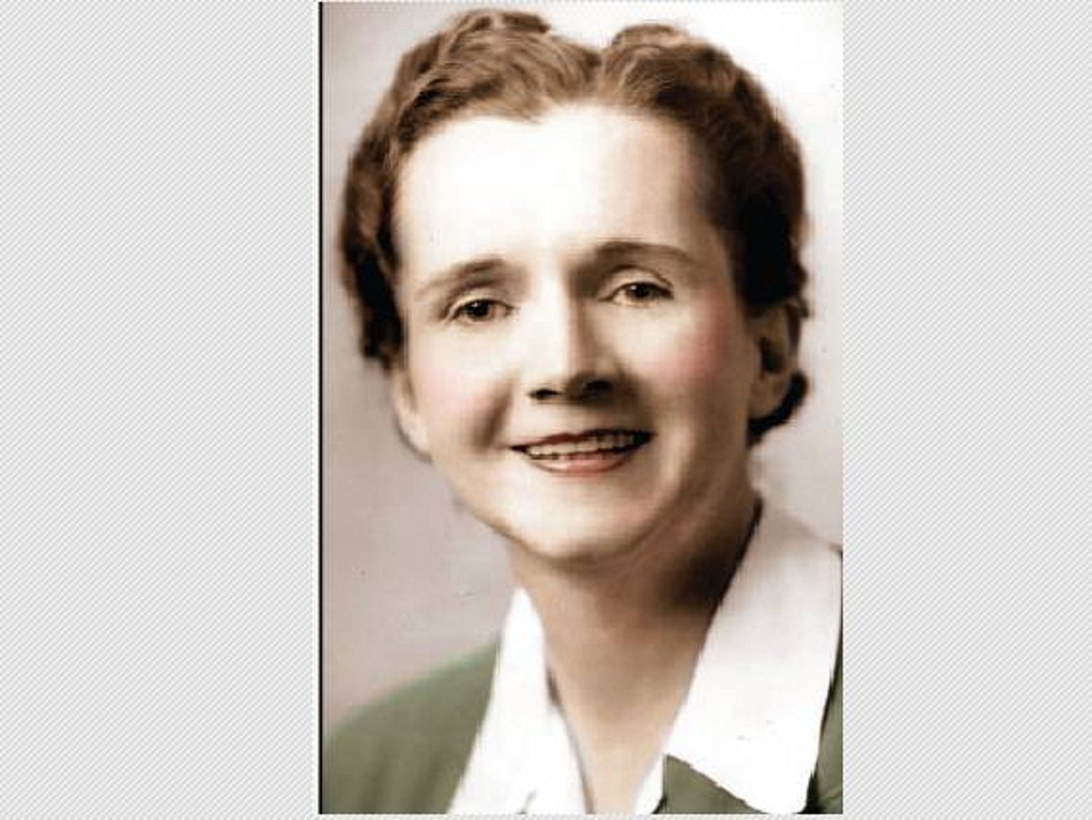 அமைதியான வசந்தம்