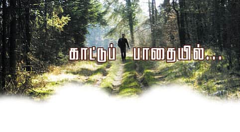 கதையல்ல நிஜம்... காட்டுப் பாதையில்...