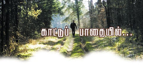 கதையல்ல நிஜம்... காட்டுப் பாதையில்...