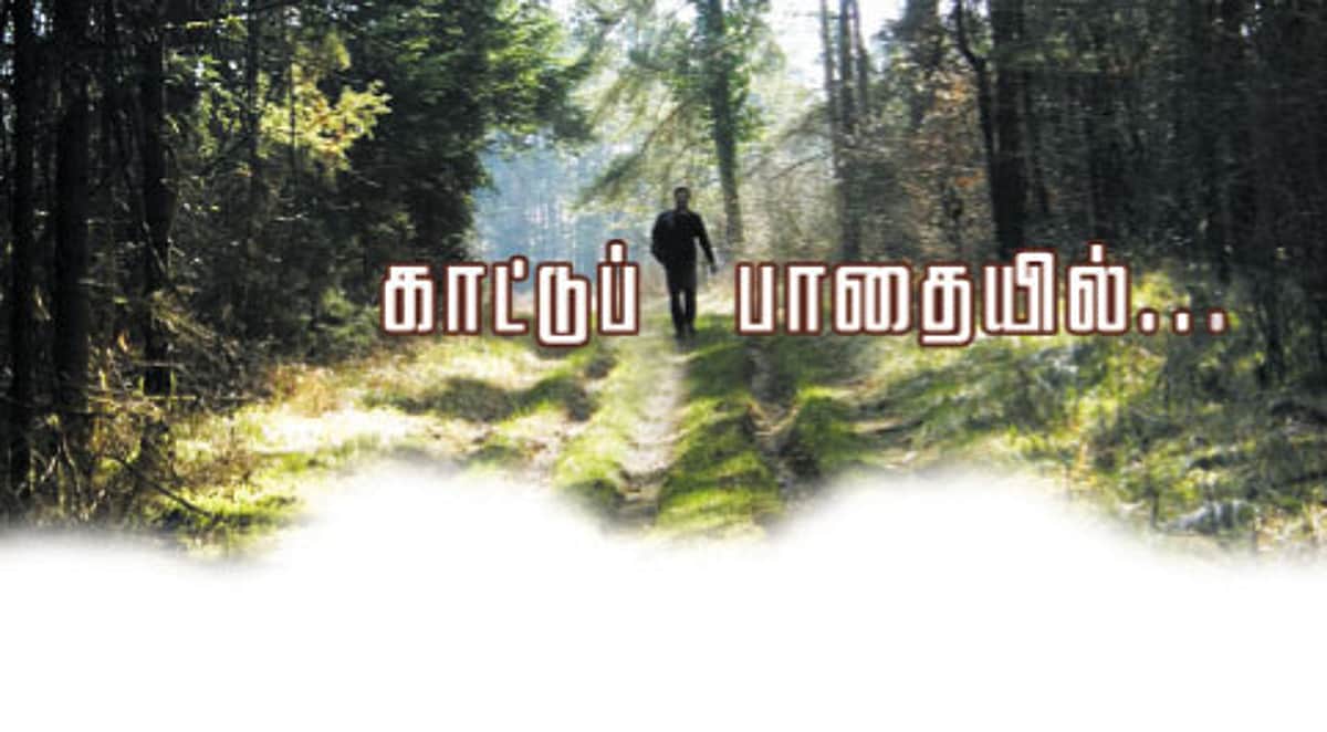 கதையல்ல நிஜம்... காட்டுப் பாதையில்...