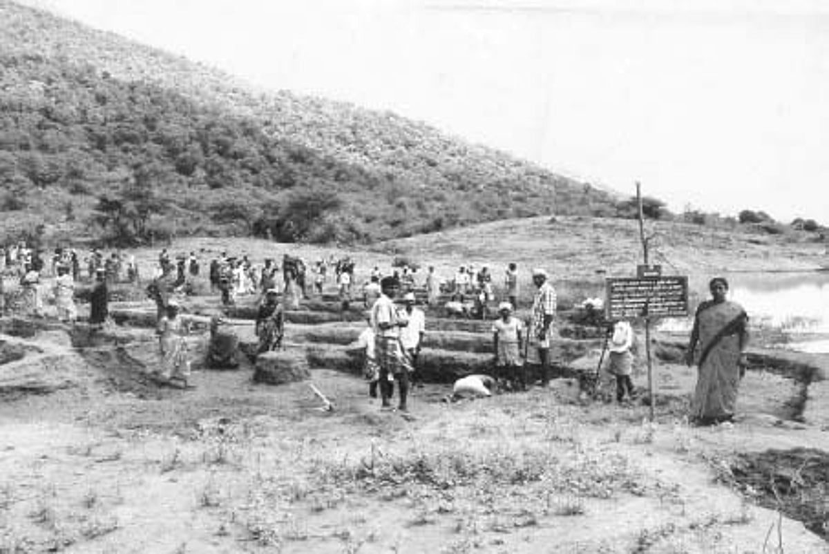 முதலீடும் உழைப்பும் இணைந்ததே விவசாயம்