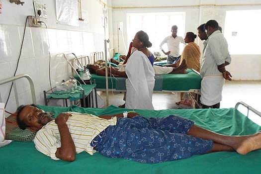 விஷவண்டு கடித்து 6 பேர் மருத்துவமனையில் அனுமதி!