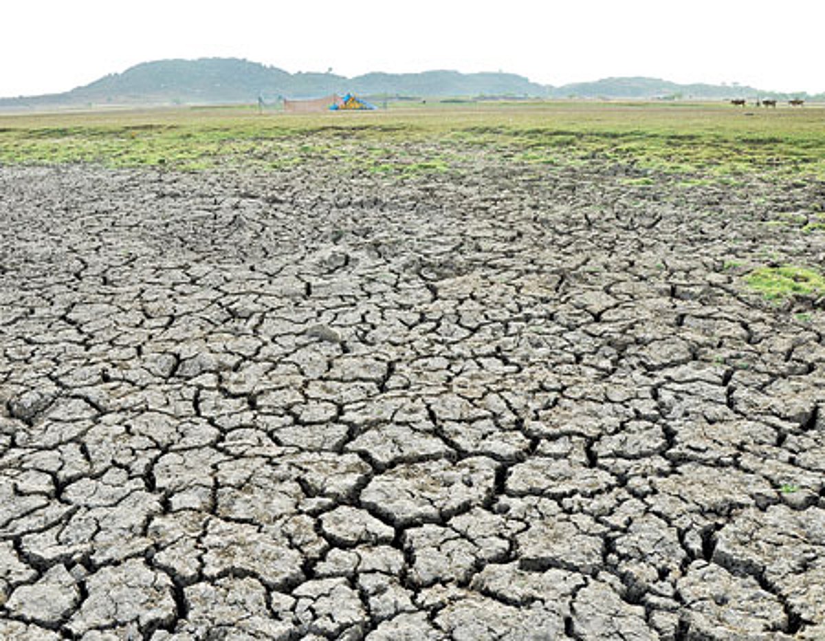 வறண்டுவிட்ட மாமண்டூர் பாசன ஏரி