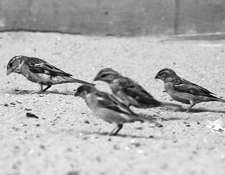 செயற்கரிய செய்வார் பெரியர்!