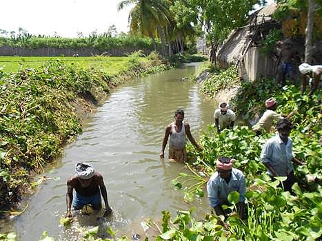 காட்டுமன்னார்கோயில் அருகே பாசன வாய்க்காலை, தாங்களே தூர்வாரிய விவசாயிகள்!