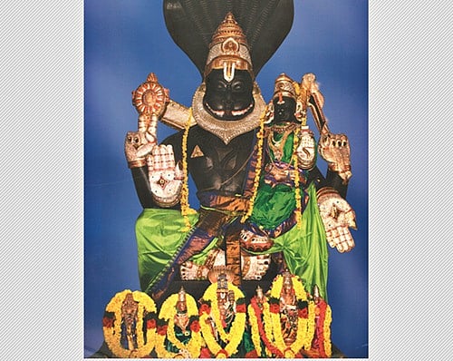 கார்த்திகையில் நரசிம்மர் தரிசனம்