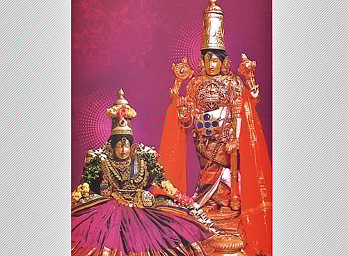 துலாப்பெருந்திருவிழா தேரோட்டம்