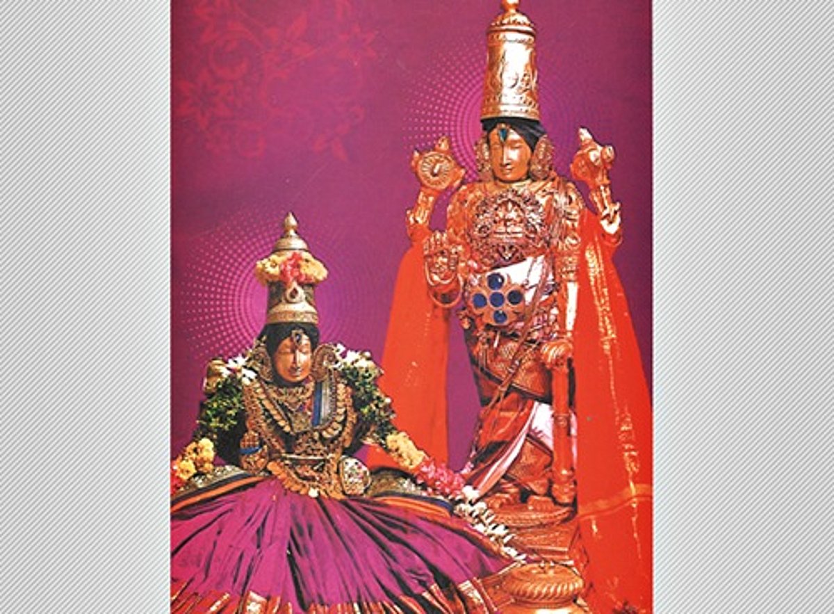 துலாப்பெருந்திருவிழா தேரோட்டம்