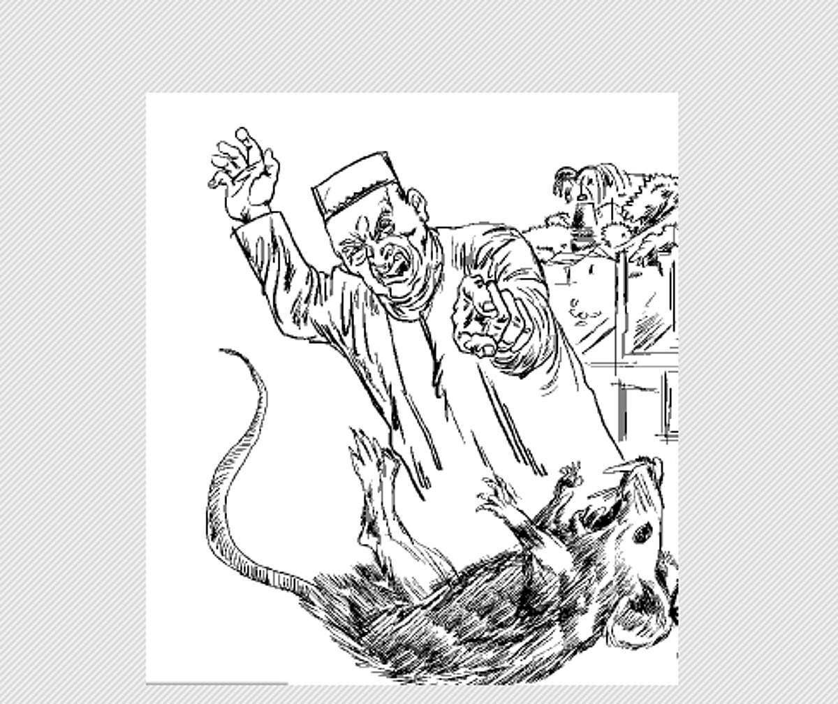 News image