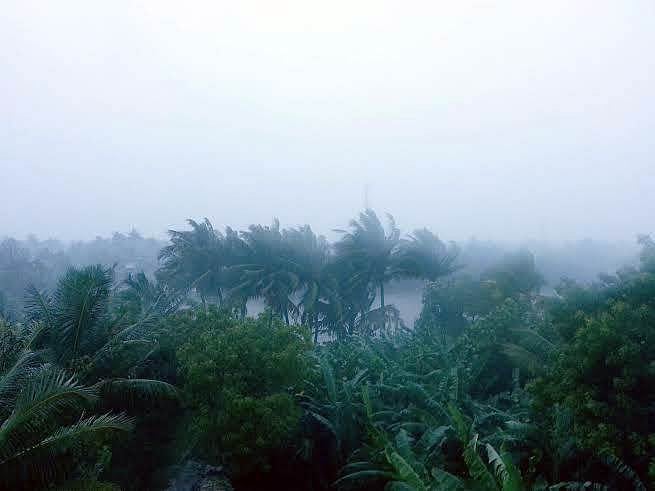 பலத்த காற்றுடன் மழை: சிதம்பரம் பகுதிகளில் இயல்பு வாழ்க்கை பாதிப்பு