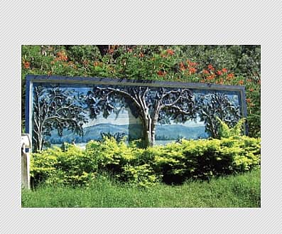 நடந்து கொண்டே  ரசிக்கலாம்!