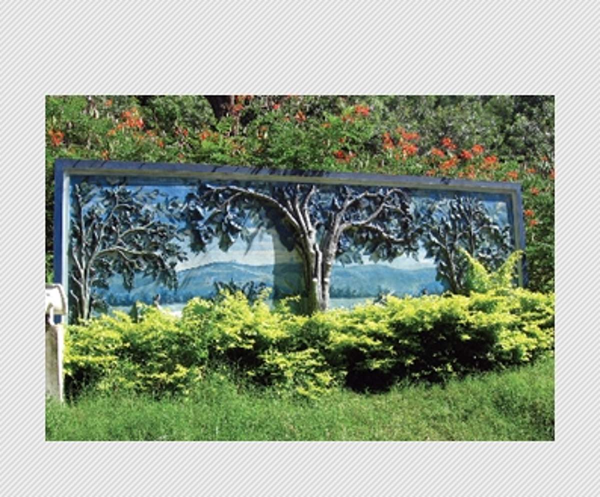 நடந்து கொண்டே ரசிக்கலாம்!