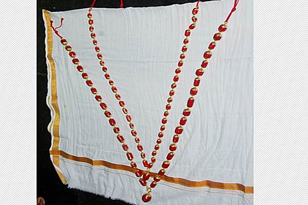 சிதம்பரம் ஸ்ரீநடராஜ பெருமானுக்கு ரூ.3.5 கோடியில் பவழமாலைகள் : பக்தர் அன்பளிப்பு