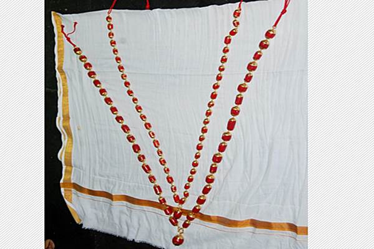 சிதம்பரம் ஸ்ரீநடராஜ பெருமானுக்கு ரூ.3.5 கோடியில் பவழமாலைகள் : பக்தர் அன்பளிப்பு