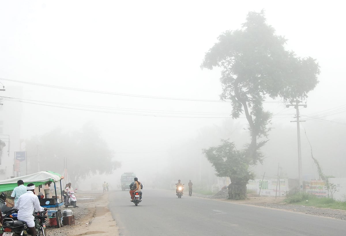 பண்ருட்டி : 40 பேரின் உயிரைக் காப்பாற்றிய சாலையோர புளியமரம்