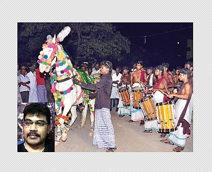 மேற்கத்திய இசைக்கு  நடனமாடும் குதிரை!